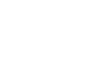 Vector